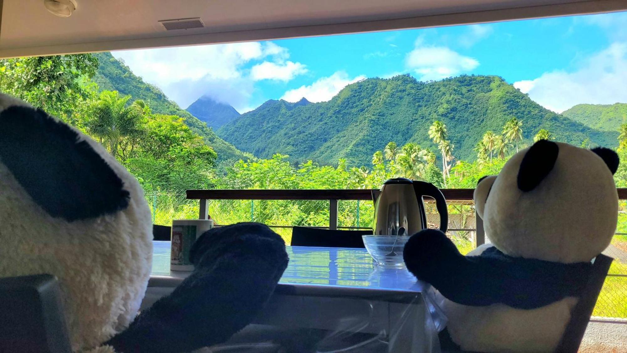 Teahupo'O Lodge, Fare Raepu'U, L'Aventure Du Bout De L'Ile En Famille Ou Entre Amis Teahupoo Kültér fotó